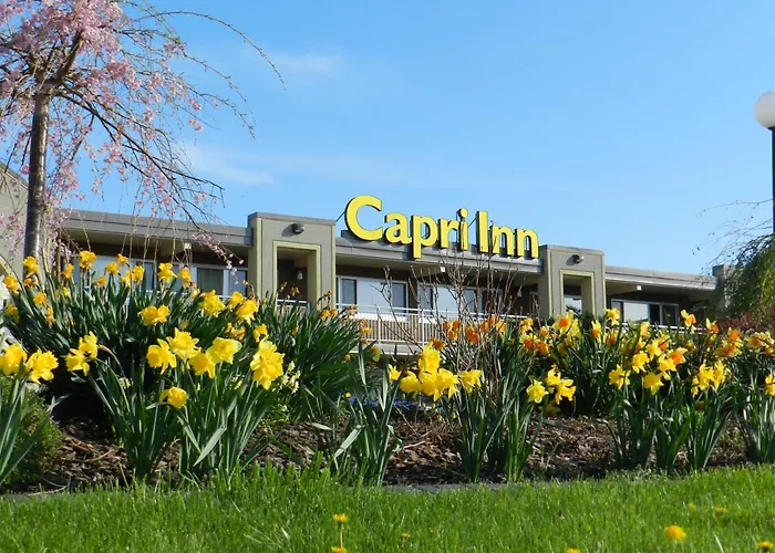 Capri Inn